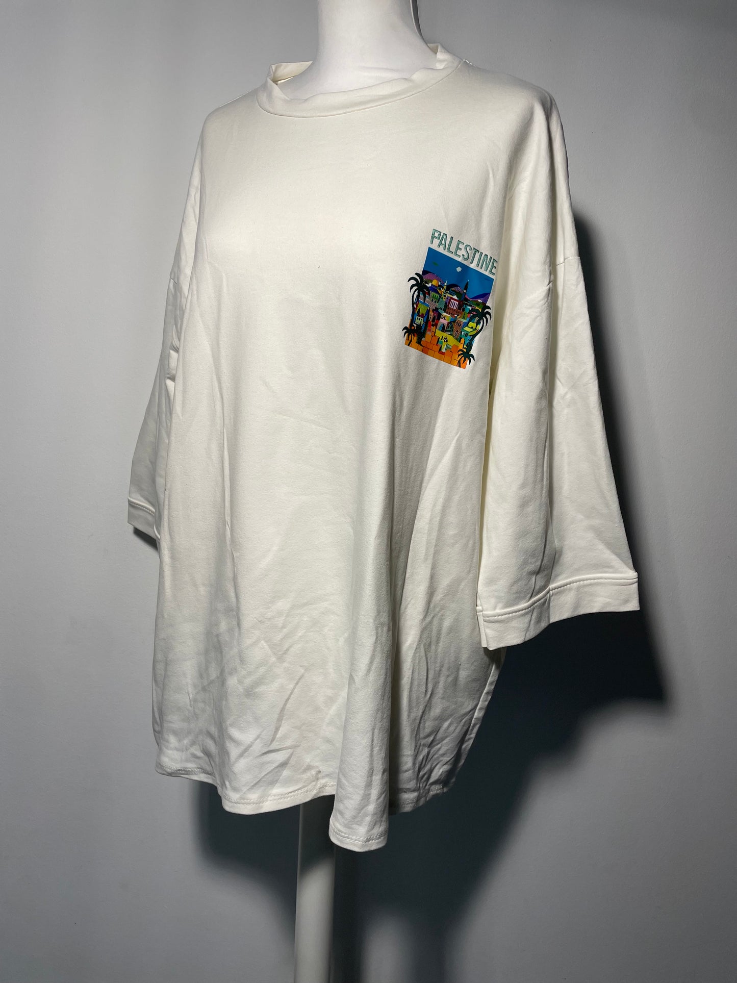 Tee shirt PALESTINE